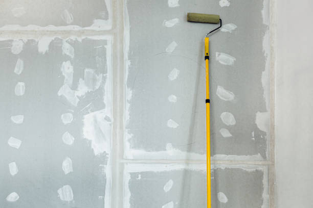 Best Basement Mold Removal  in Lemont Furnace, PA