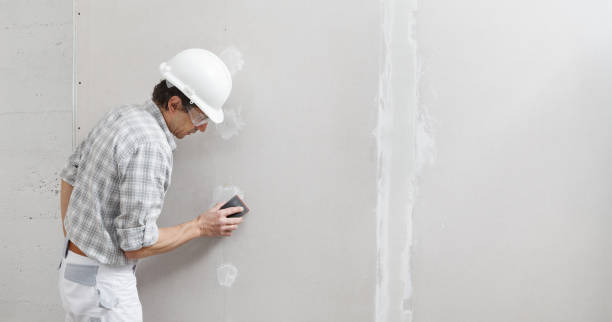 Best Residential Mold Inspection & Testing  in Lemont Furnace, PA