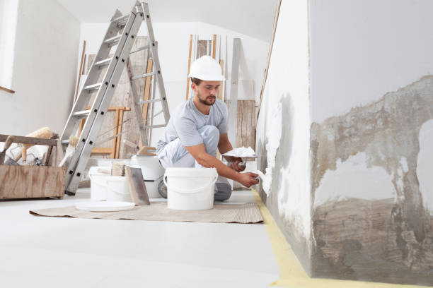 Lemont Furnace, PA Mold Removal Company