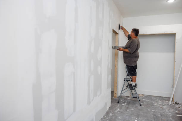Best Water Damage & Mold Remediation  in Lemont Furnace, PA